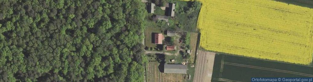 Zdjęcie satelitarne Tadeusz Głębocki - Działalność Gospodarcza