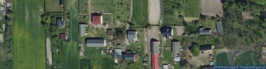 Zdjęcie satelitarne Tadeusz Jezuita - Działalność Gospodarcza