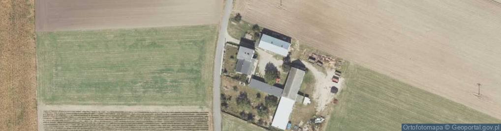 Zdjęcie satelitarne Tadeusz Koralewski