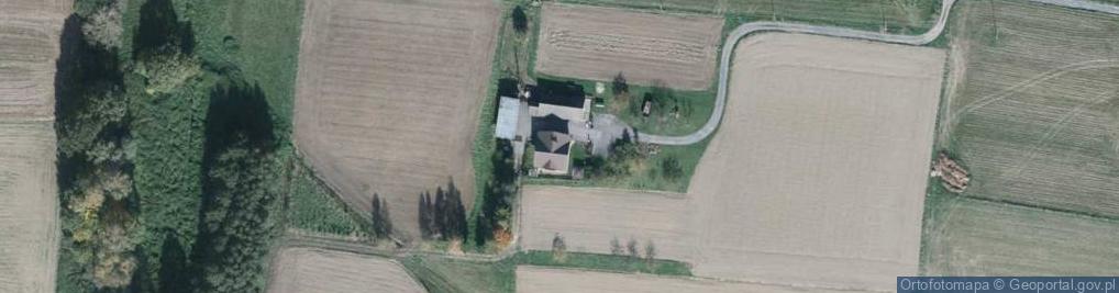 Zdjęcie satelitarne Tadeusz Madzia - Działalność Gospodarcza