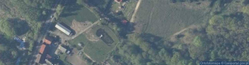 Zdjęcie satelitarne Tadeusz Mańka - Działalność Gospodarcza