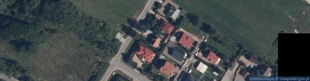 Zdjęcie satelitarne Tadeusz Sienicki - Działalność Gospodarcza