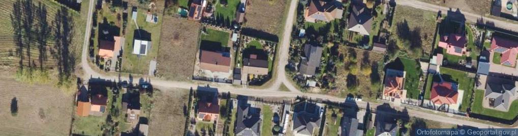 Zdjęcie satelitarne Tadeusz Stoiński - Działalność Gospodarcza