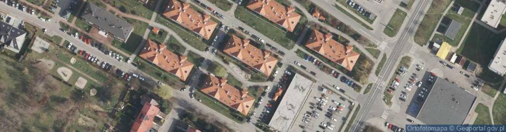 Zdjęcie satelitarne Tadeusz Wilczyński - Działalność Gospodarcza