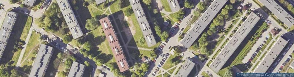 Zdjęcie satelitarne Talaśka Tomas