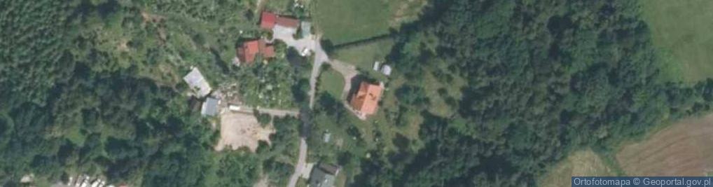 Zdjęcie satelitarne Taxus A Bogdanowicz P Bogdanowicz