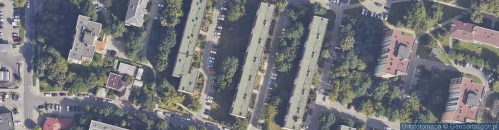 Zdjęcie satelitarne Termik Krzysztof Mikulski
