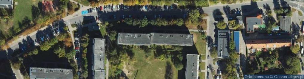 Zdjęcie satelitarne Testum Semkowicz Jacek Dominiak Kazimierz