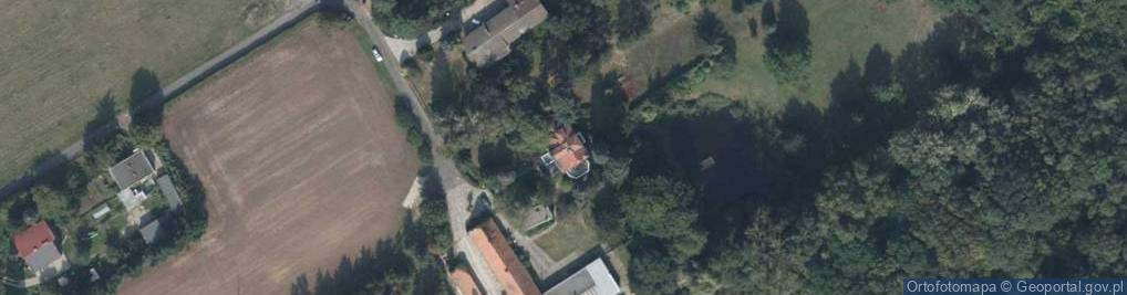 Zdjęcie satelitarne The Leader Polska- Beata Działoszyńska