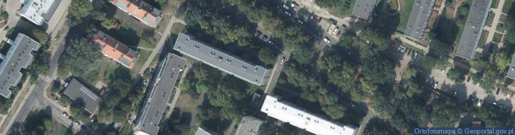 Zdjęcie satelitarne Tomas Tomasz Bertyński