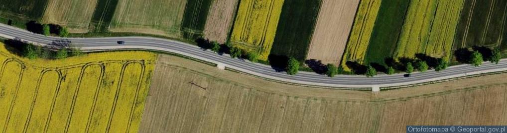 Zdjęcie satelitarne Tomasz Jędrzejko