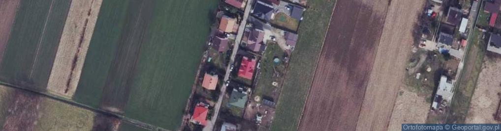 Zdjęcie satelitarne Tomasz Orzechowski - Działalność Gospodarcza