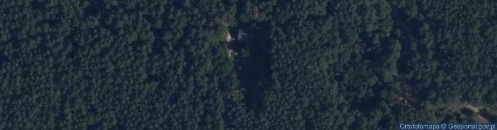 Zdjęcie satelitarne Towarowy Transport Drogowy