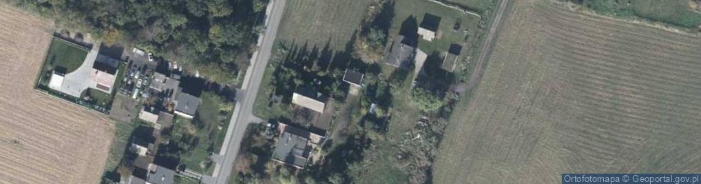 Zdjęcie satelitarne Towarzystwo Przyjaciół Grodu w Grzybowie