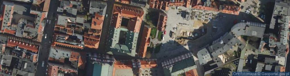 Zdjęcie satelitarne Towarzystwo Przyjaciół Poznańskiej Fary