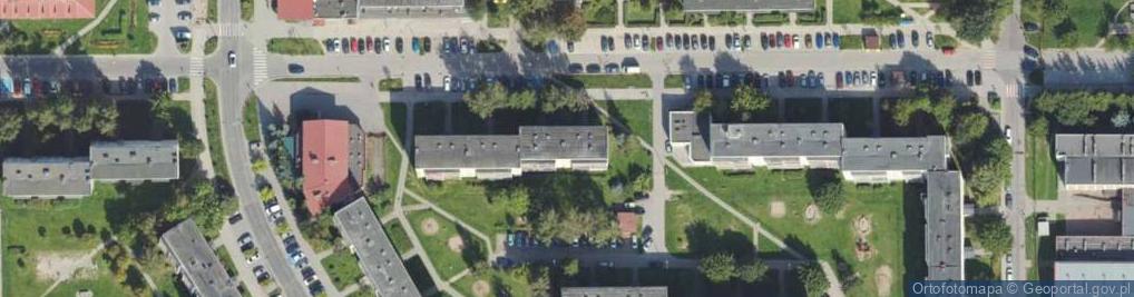 Zdjęcie satelitarne Towarzystwo Samotnych Osób Venus