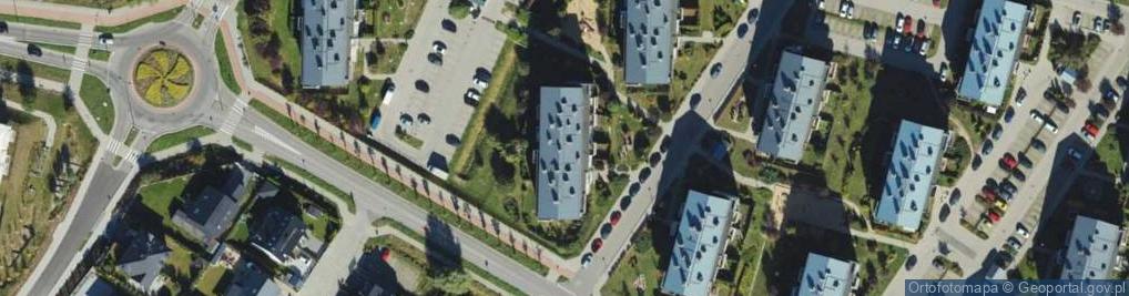 Zdjęcie satelitarne Traffic - Damian Baran