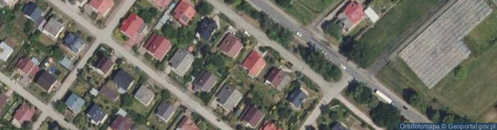 Zdjęcie satelitarne Trans Bus