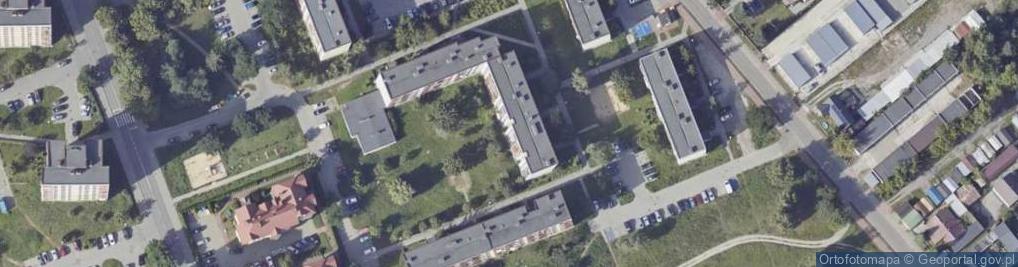 Zdjęcie satelitarne Trans Drog Zbigniew Głowacki Kazimierz Lustan