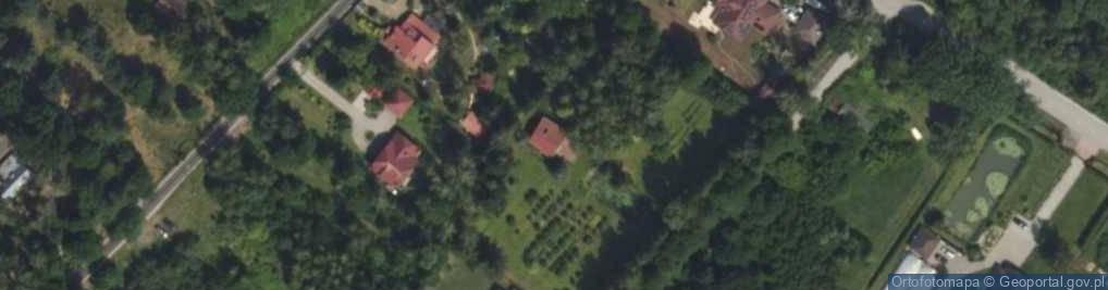 Zdjęcie satelitarne Trans Light