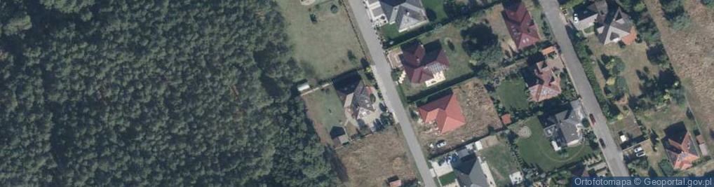 Zdjęcie satelitarne Trans Mar