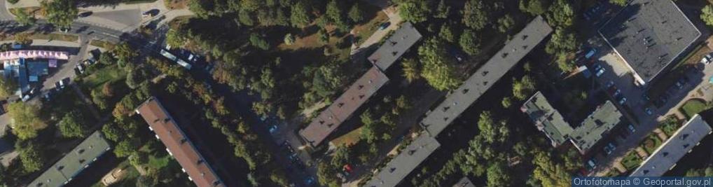 Zdjęcie satelitarne Trans Rych