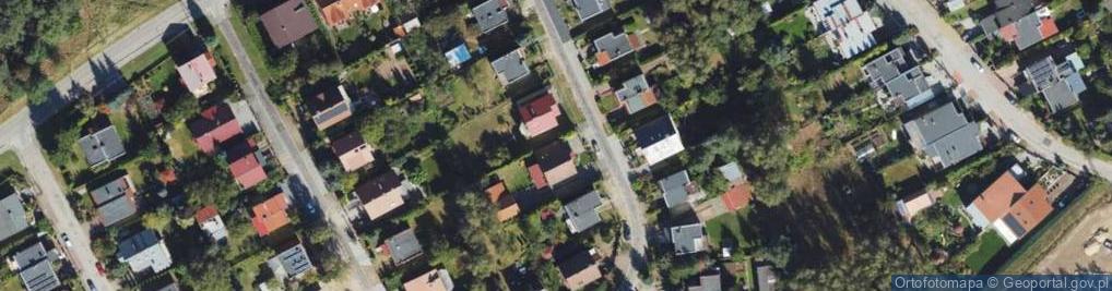 Zdjęcie satelitarne Transpaula