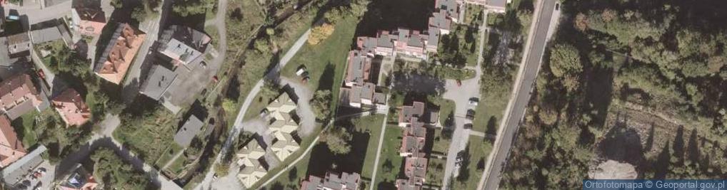 Zdjęcie satelitarne Transport Dzik Ryszard