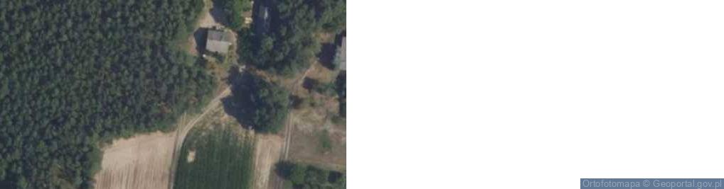 Zdjęcie satelitarne Transport Międzynarodowy Bielawski