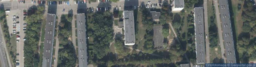 Zdjęcie satelitarne Transport Osobowy