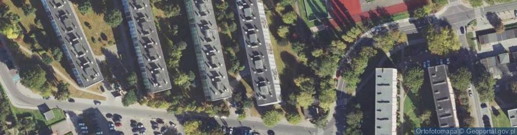 Zdjęcie satelitarne Transport Osobowy