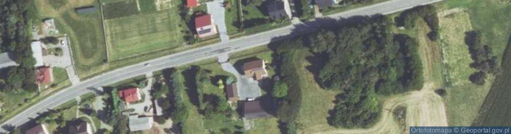 Zdjęcie satelitarne Transport Zarobkowy