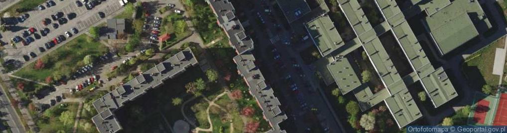 Zdjęcie satelitarne "Trasmont" Kociołek Marian