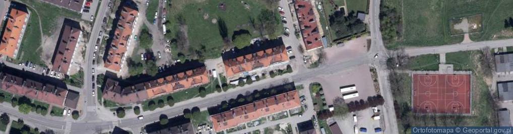 Zdjęcie satelitarne Treścińska Patrycja FPH Malinka-U Patrycji