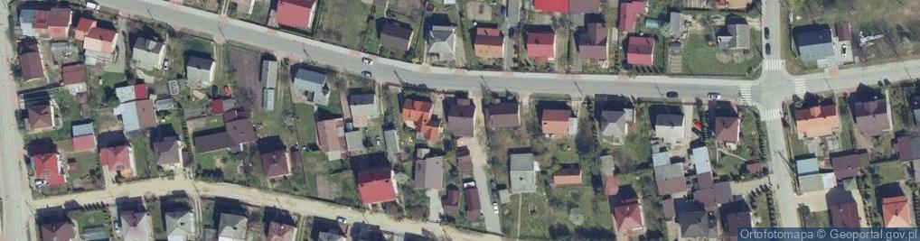 Zdjęcie satelitarne Turkan