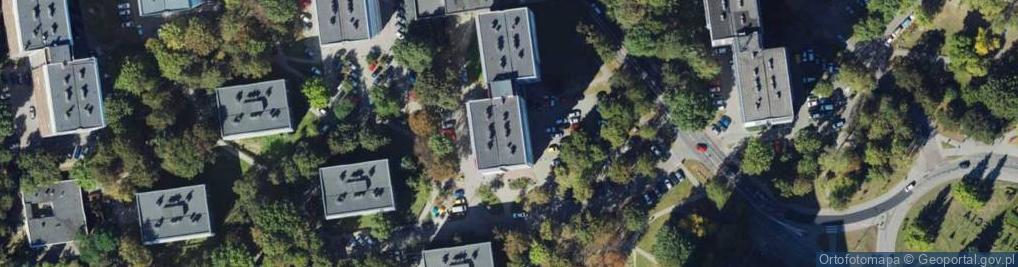 Zdjęcie satelitarne Tworzenie Sieci Dystrybutorów Dystrybucja