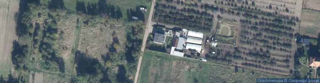 Zdjęcie satelitarne Uprawa Grzybów Joanna Gajewska