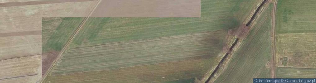 Zdjęcie satelitarne Uprawa Grzybów Krystyna Majkut Wschowa