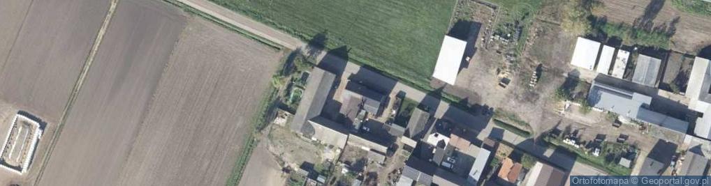 Zdjęcie satelitarne Uprawa Grzybów Krzysztof Baranowski Siekowo