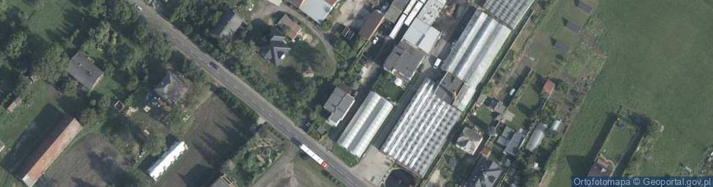 Zdjęcie satelitarne Uprawa Grzybów Marta Sroczyńska