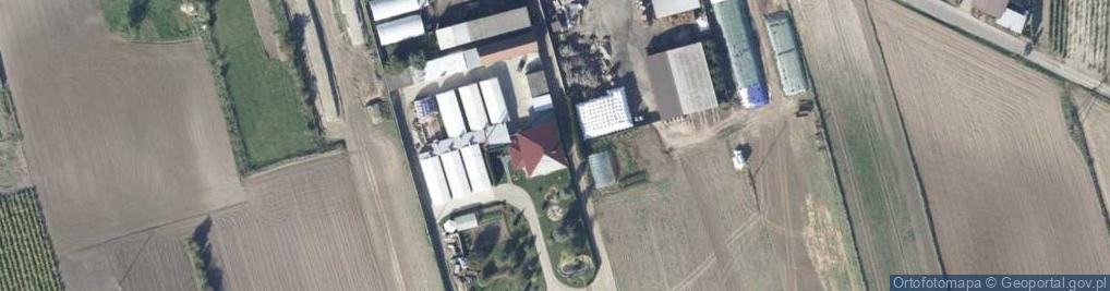 Zdjęcie satelitarne Uprawa Grzybów Sławomir Szubert Wilkowo Polskie