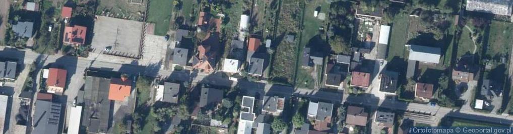 Zdjęcie satelitarne Uprawa Kwiatów Ciętych Elżbieta Przegiętka Czempiń