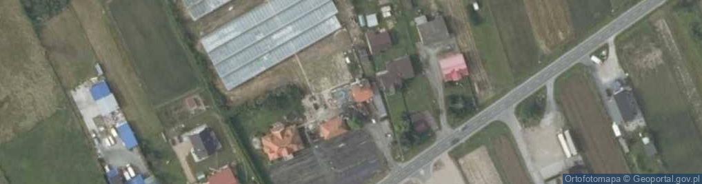 Zdjęcie satelitarne Uprawa Kwiatów Maria Kubacka