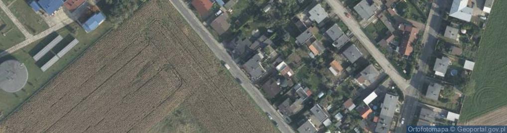 Zdjęcie satelitarne Uprawa Pieczarek Aneta Beszterda Kościan
