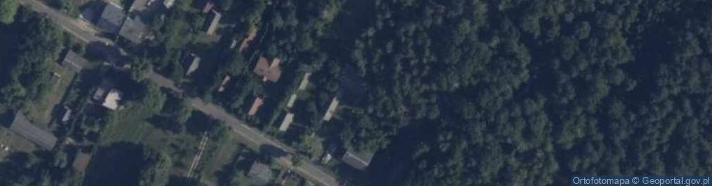 Zdjęcie satelitarne Uprawa Pieczarek Lilianna Pieńkowska