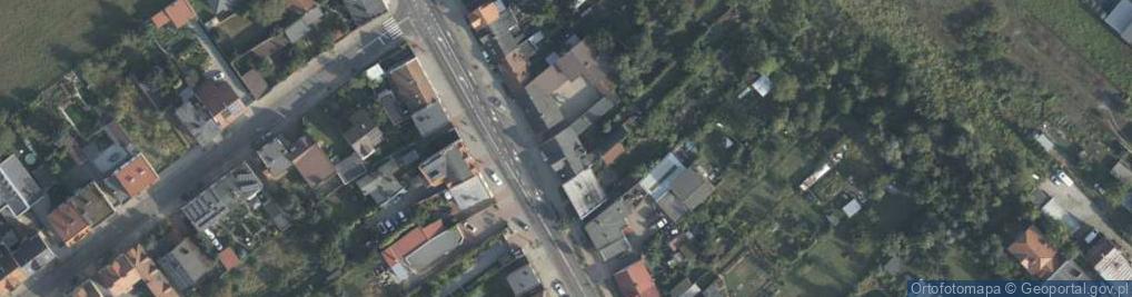 Zdjęcie satelitarne Uprawa Pieczarek Piotr Kaźmierczak Kościan