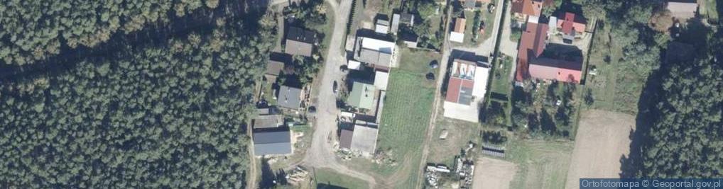 Zdjęcie satelitarne Uprawa Pieczarek Renata Borowczak Siedlec