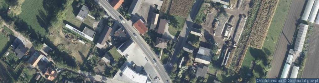 Zdjęcie satelitarne Uprawa Pieczarek Robert Lewandowski