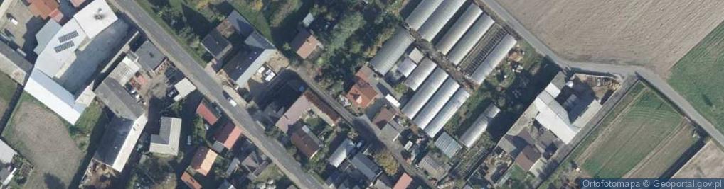 Zdjęcie satelitarne Uprawa Warzyw Magdalena Kaczor
