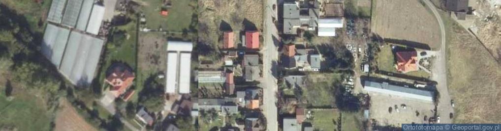 Zdjęcie satelitarne Uprawa Warzyw Małgorzata Ratajska Śmigiel